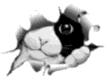 kat