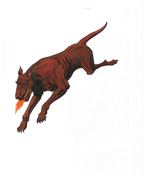 Ferral Dog