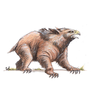 Owlbear