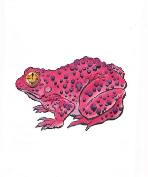 Giant toad
