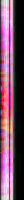  border background