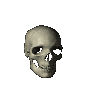 /user/skull1.gif