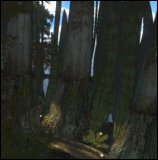 trees