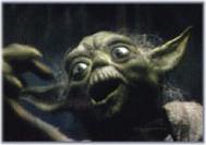 Aaaahhh look, it's that little baby again. Look at his little koochie eyes! wootchie wootchie coootchie cooo Captain!!