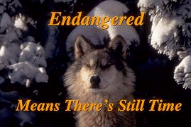 endangered.gif (42222 bytes)