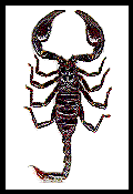 Sting of Death