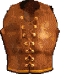 lederrüstung.gif (2405 Byte)