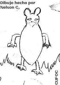 Sketch by Nelson