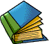 a blue book