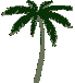 Picture of palm tree waving in breeze