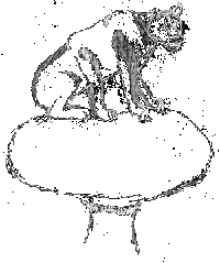 Aabader sitting on a cavern mushroom