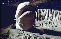 p_spaceslug.jpg (13717 bytes)