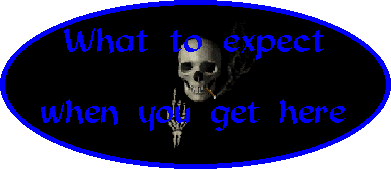 What to expect when you get here