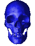 skull