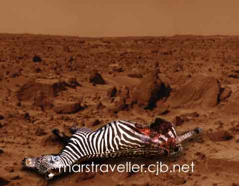 Death on Mars