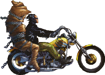 wlvbike.gif (113244 bytes)