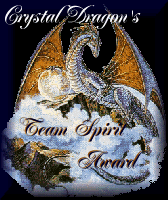 Team Spirit Award