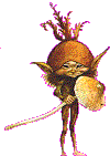 elf.gif (11474 bytes)