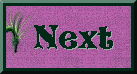 awards.html