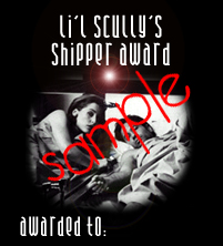 'Shipper Award - SAMPLE