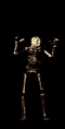skellani.gif (22998 bytes)