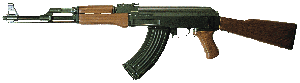rapidfire boomstick