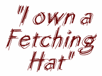I own a fetching hat