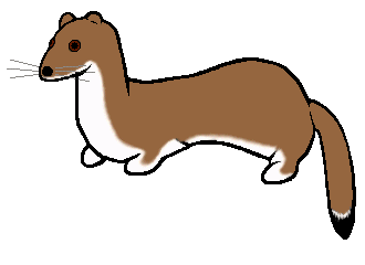 Slipweed the Stoat!