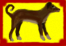 Standing_Dog