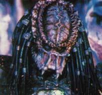 Predator