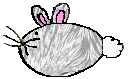 bunny.rasp.gif (4093 bytes)