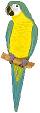 parrot4.gif (5274 bytes)