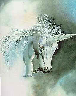 /user/unicorn63.jpg