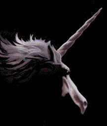 /user/unicornm.jpg