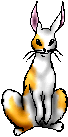 Pooky