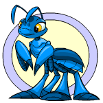 saltamontito