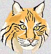 R-A Bobcats