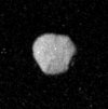 Proteus