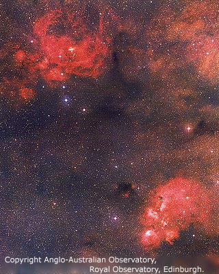 NGC 6334 and 6357 in the Galactic plane