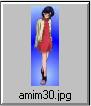 See the full size amim30s.jpg