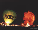 Koolpig.JPG (55054 bytes)