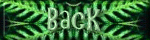 Back The Way You Came