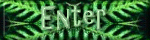 Enter The Dragons' Laire