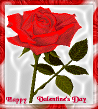 Red Rose