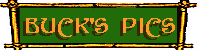 This is not a link.