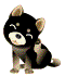TOON MOVE