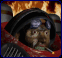 tp-fb.gif (3609 Byte)