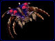 guardian.gif (14880 Byte)