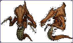zergstudy.gif (18265 Byte)