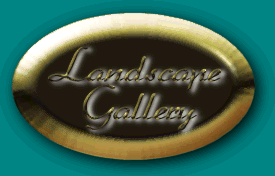Landscape Gallery